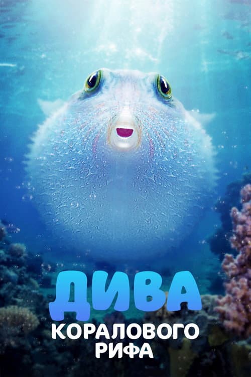 Puff: Wonders of the Reef still 7