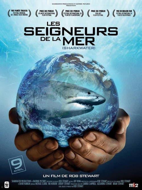 Sharkwater still 4