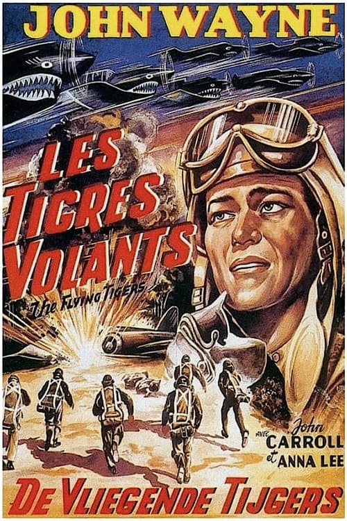 Flying Tigers still 7