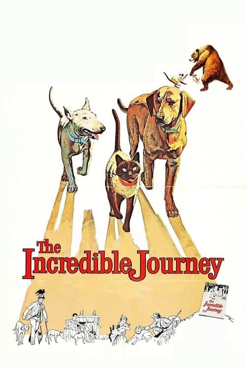 The Incredible Journey still 6