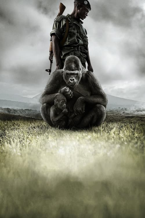 Virunga still 3