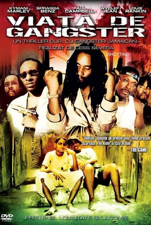 Shottas still 7