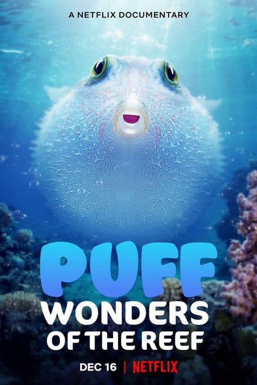 Puff: Wonders of the Reef still 6