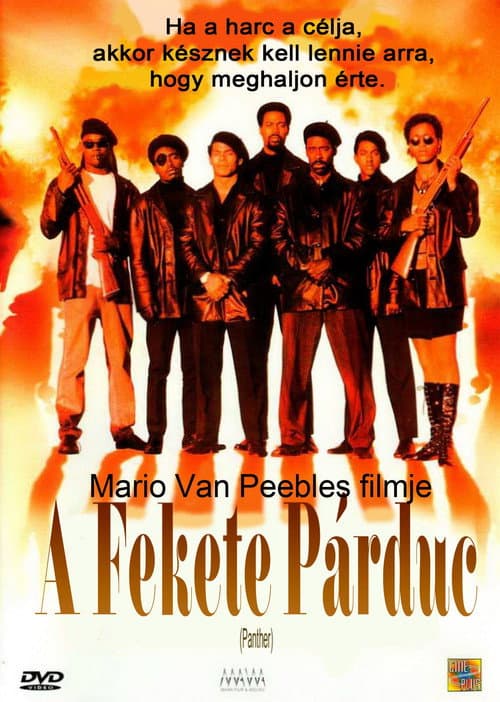 Panther still 5