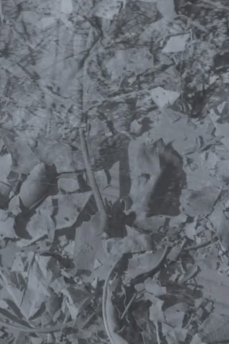 Autumns Decay: Release Date, Mystique & What We Know