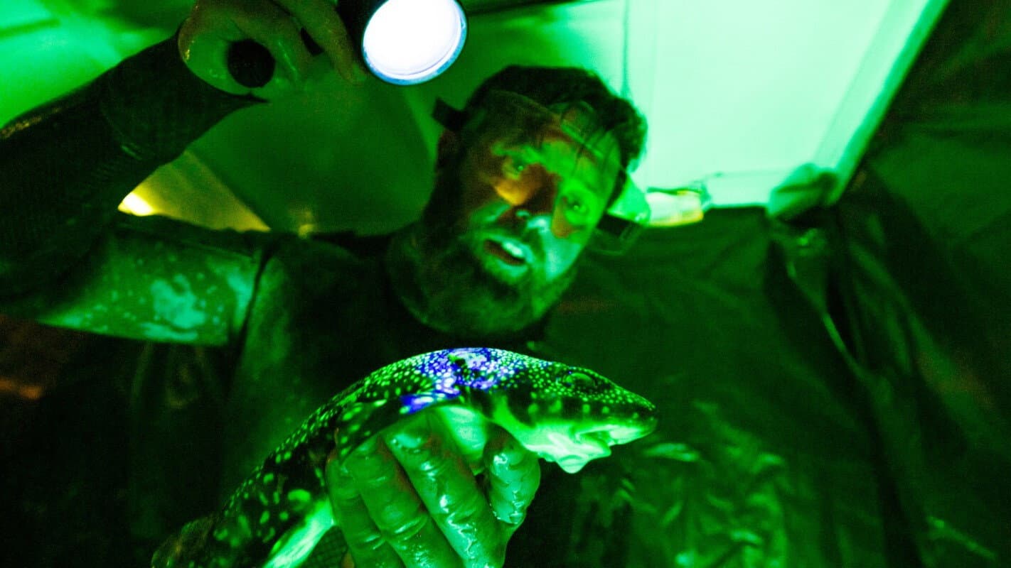 Alien Sharks: Untamed America - Movie Preview