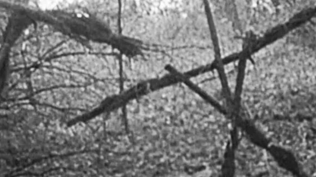 The Blair Witch Project
