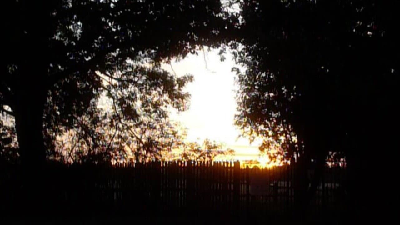 Garden Sanctuary: 2026's Enigmatic 3-Minute Film