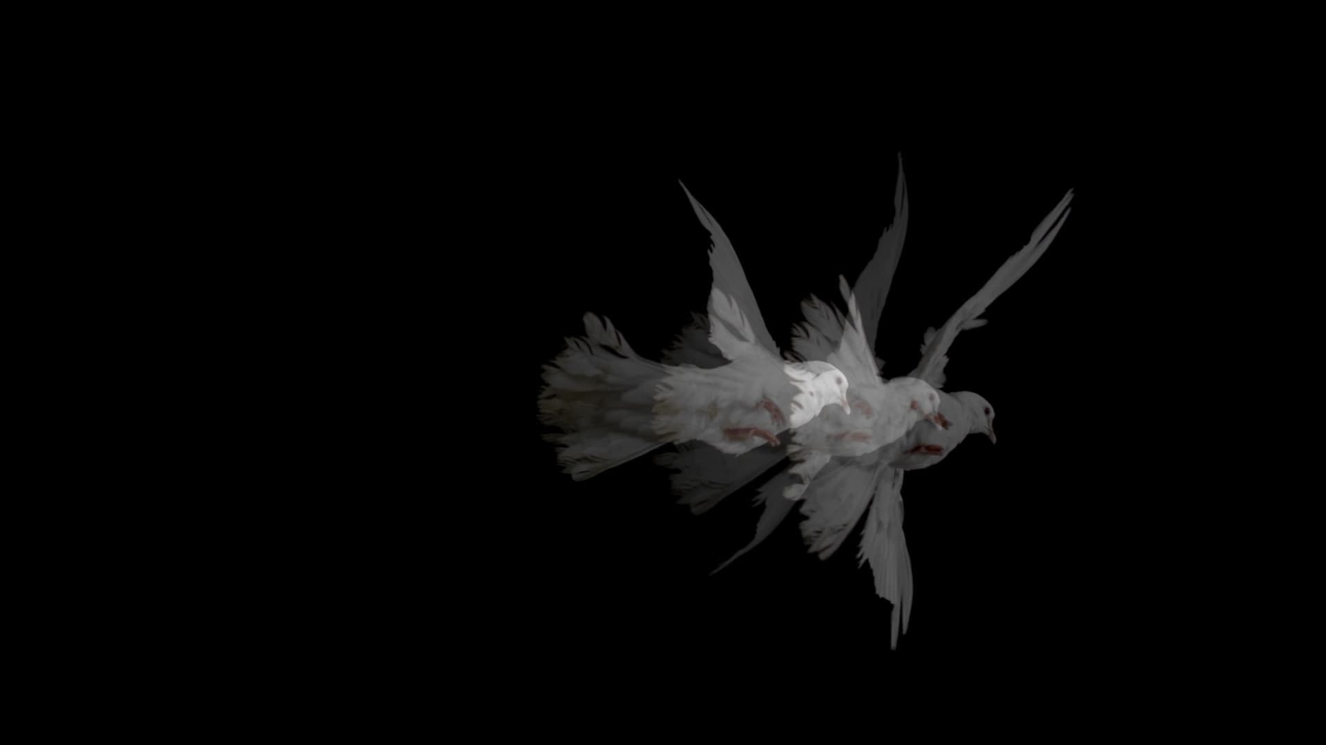 Doves (Loss of Love & Desensitization) - Arslan Deura Film
