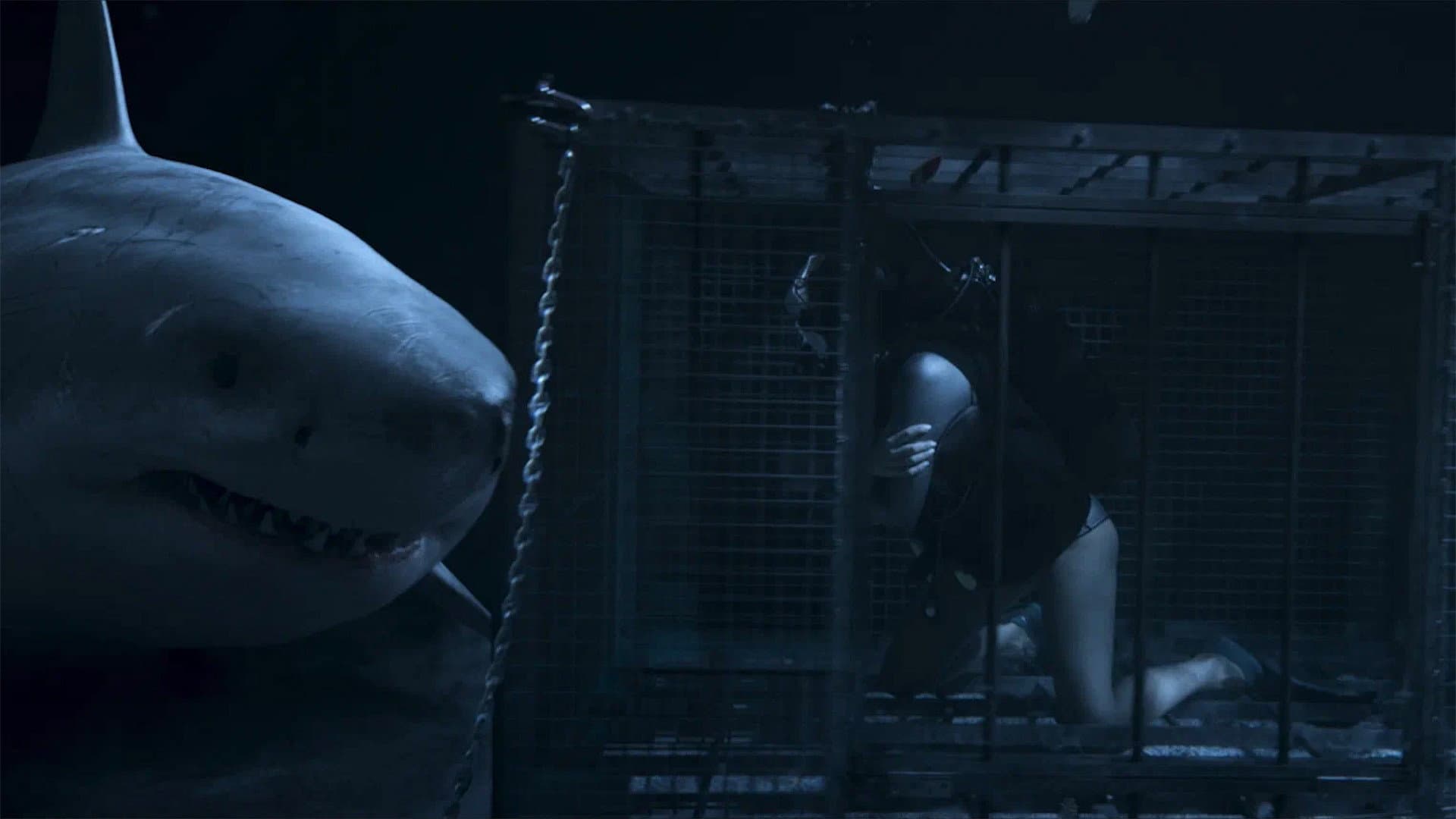 Above & Below (2026) Review: Sun-Soaked Horror Thriller