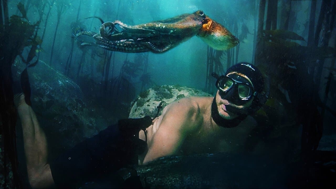 My Octopus Teacher still 3