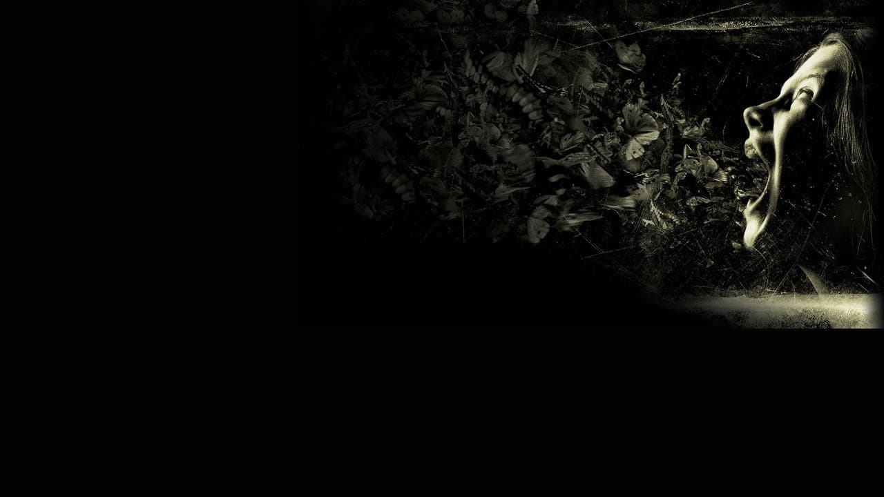 The Possession still 5