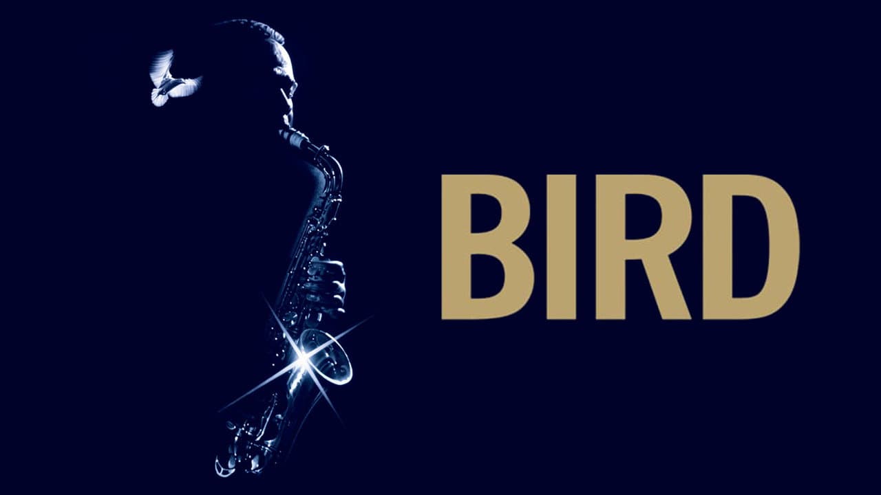 Bird still 5