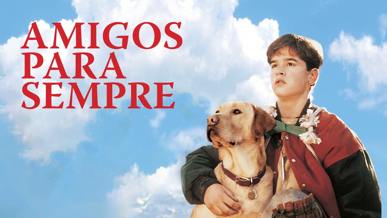 Far from Home: The Adventures of Yellow Dog still 6