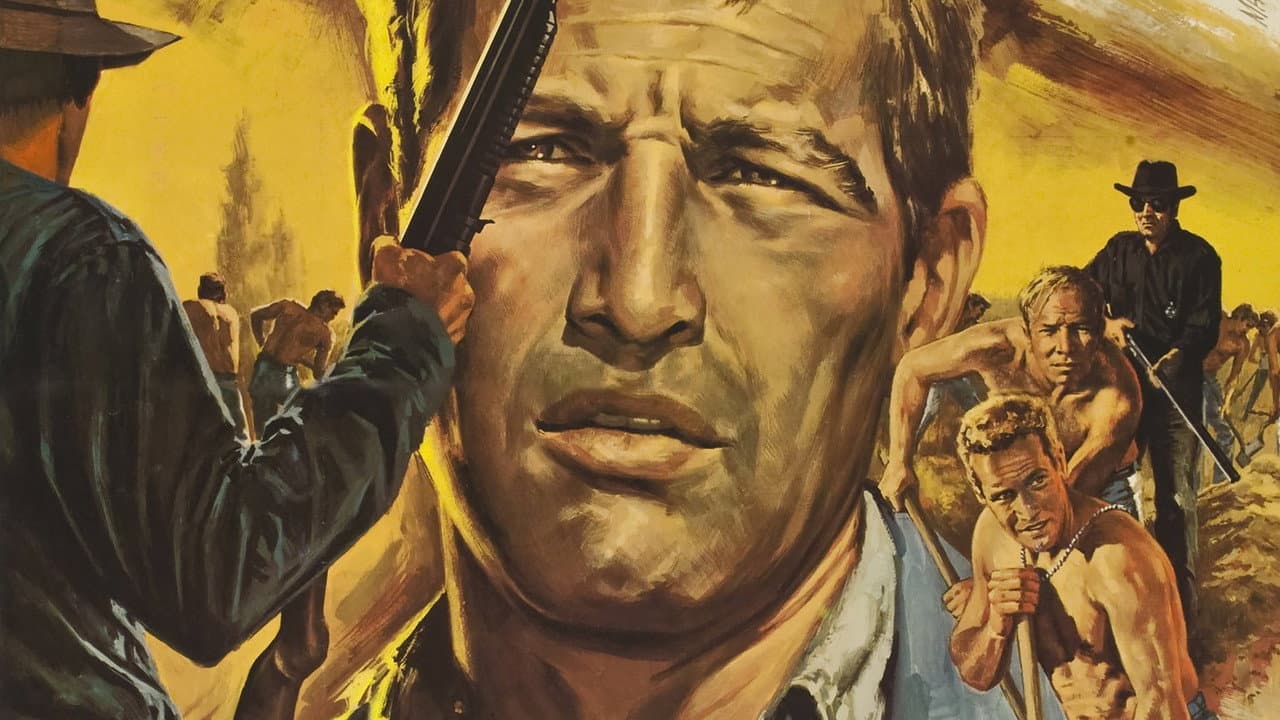 Cool Hand Luke still 6