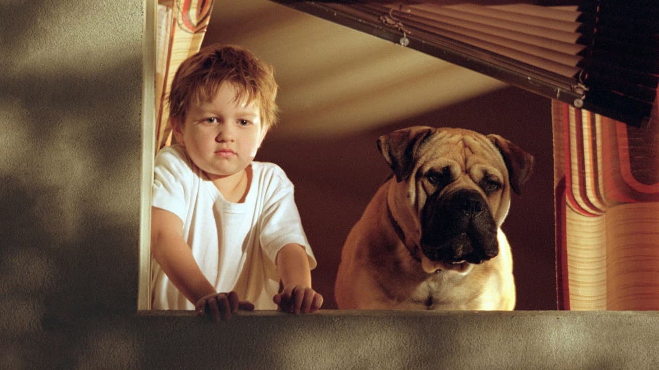 See Spot Run still 5