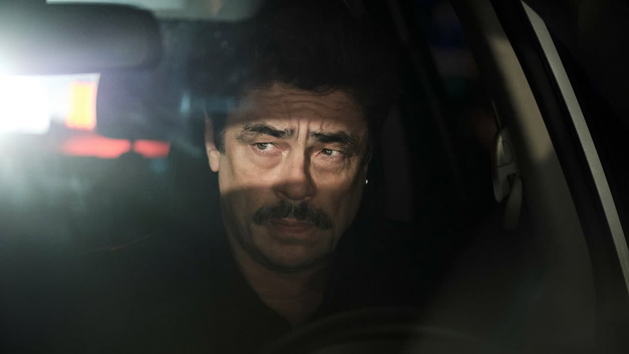 Reptile still 7