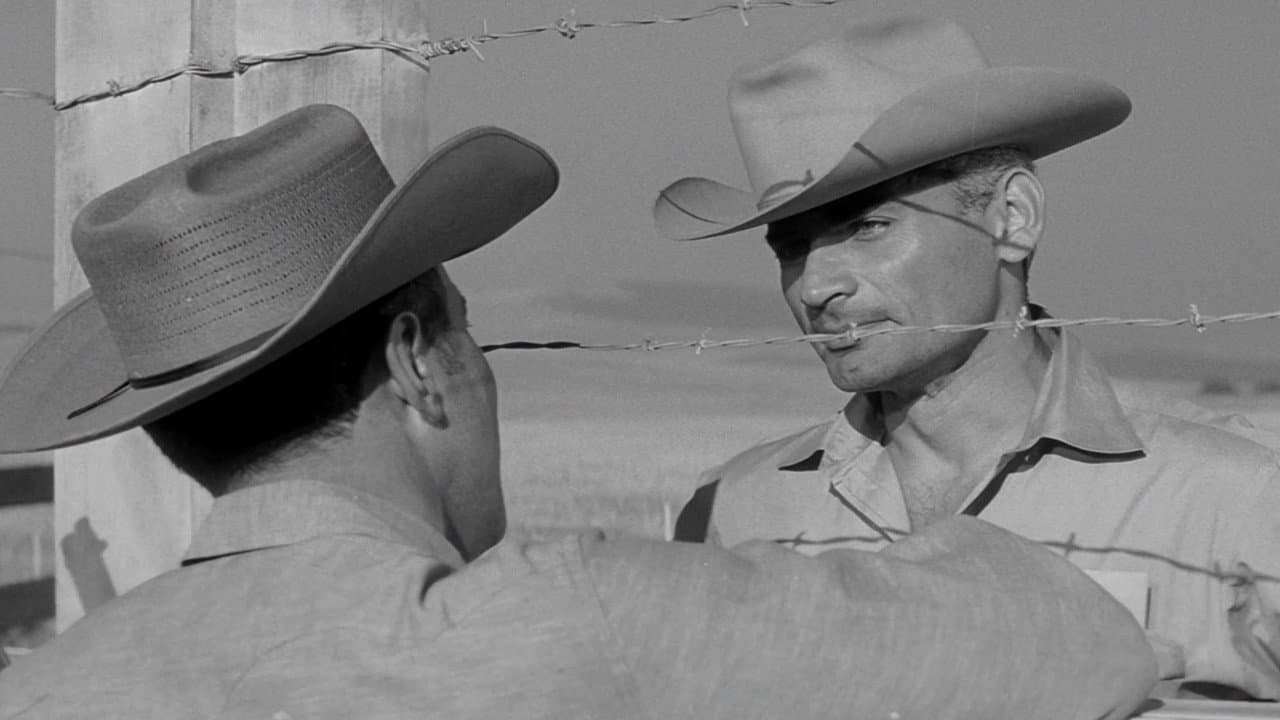 Man in the Shadow still 8