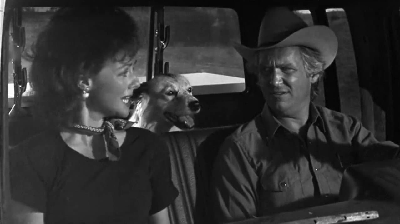 Texasville still 8