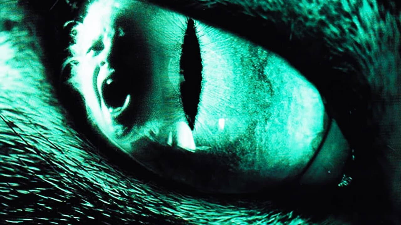 Cat's Eye still 7