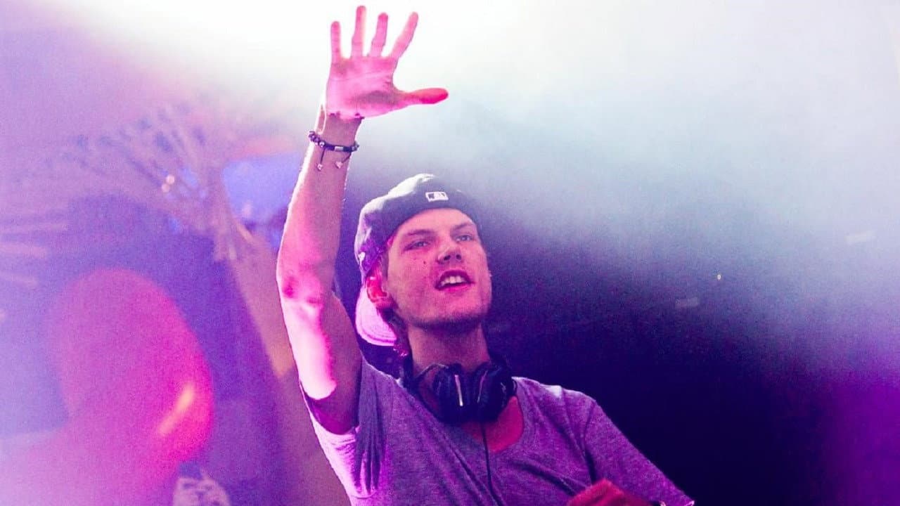Avicii: True Stories still 4