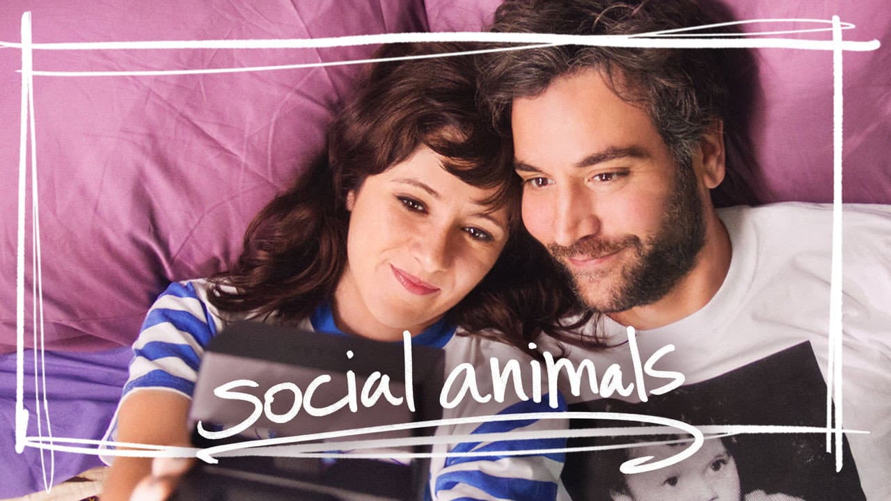 Social Animals still 3