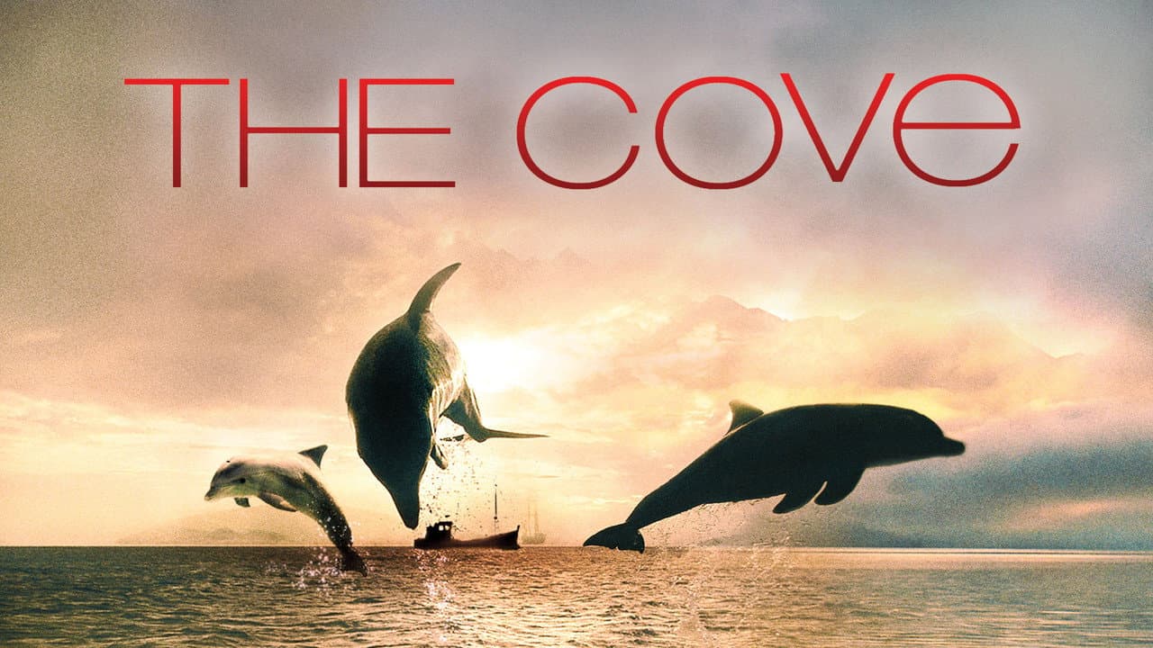 The Cove still 5