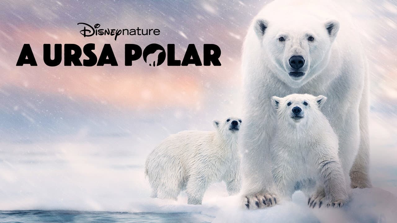 Polar Bear still 7