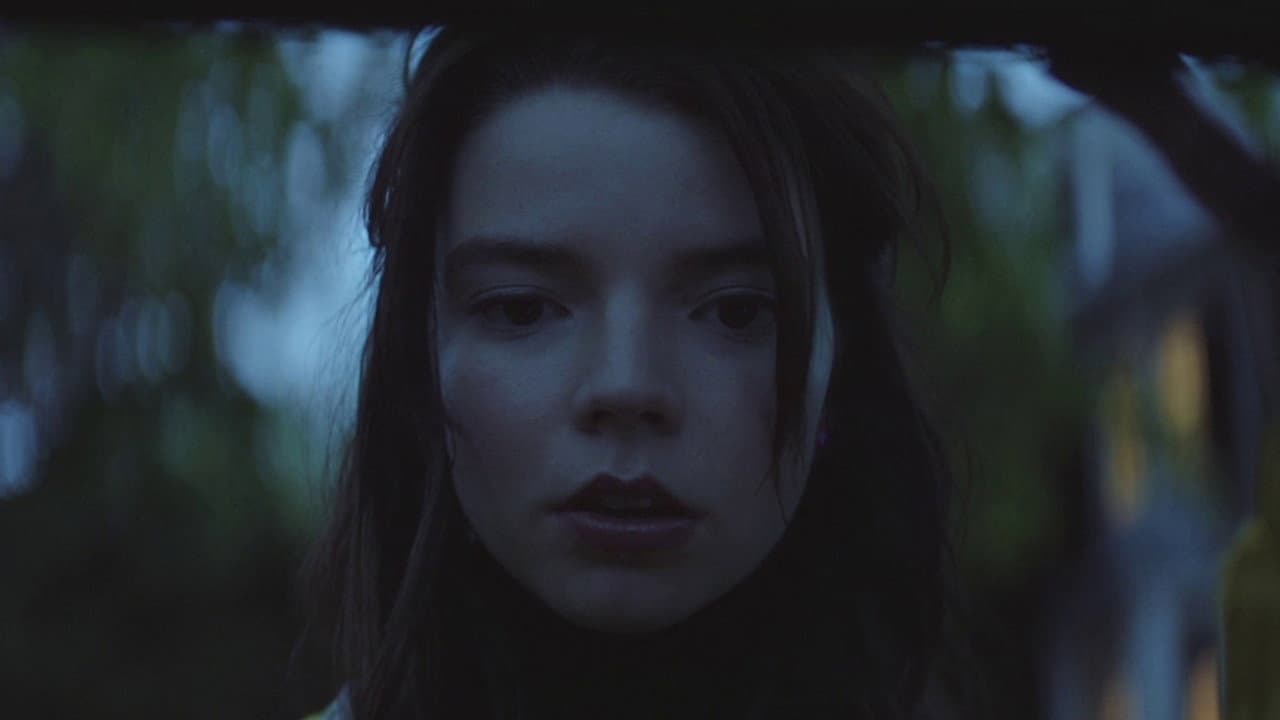 Thoroughbreds still 4