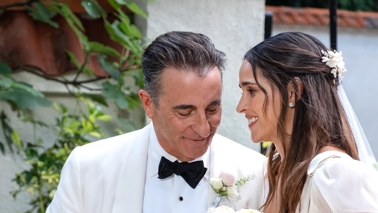 Father of the Bride still 8