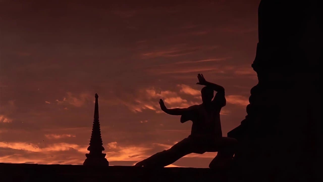 Kickboxer still 6