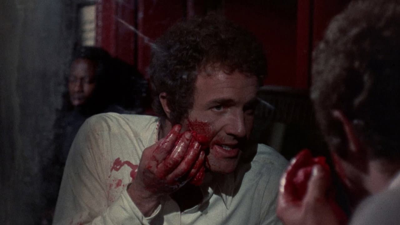 The Gambler still 7