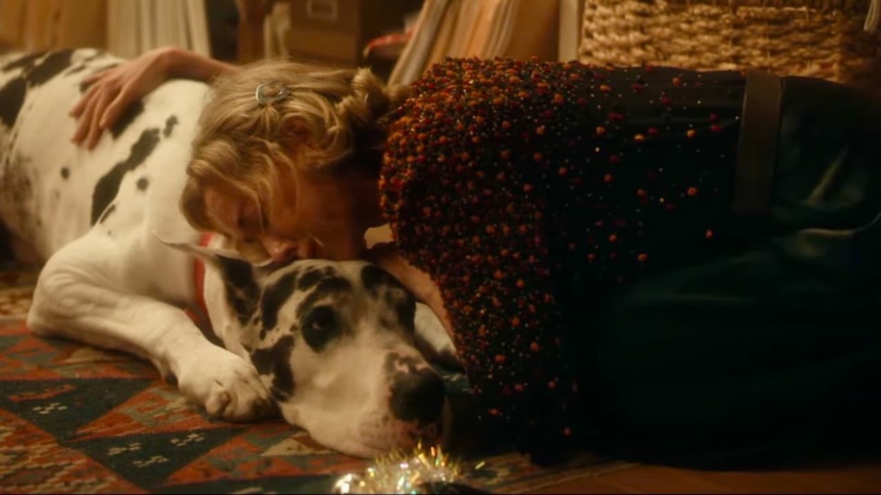 The Friend still 7