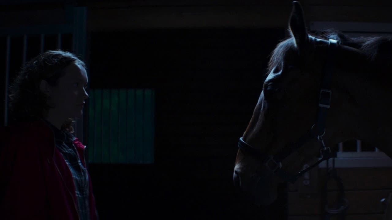Thoroughbreds still 3