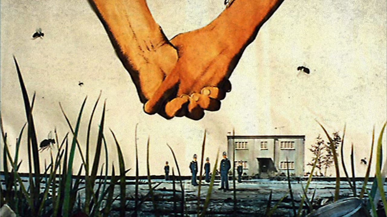 The Cement Garden still 4