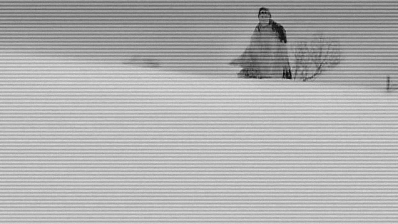 Slaughterhouse-Five still 2