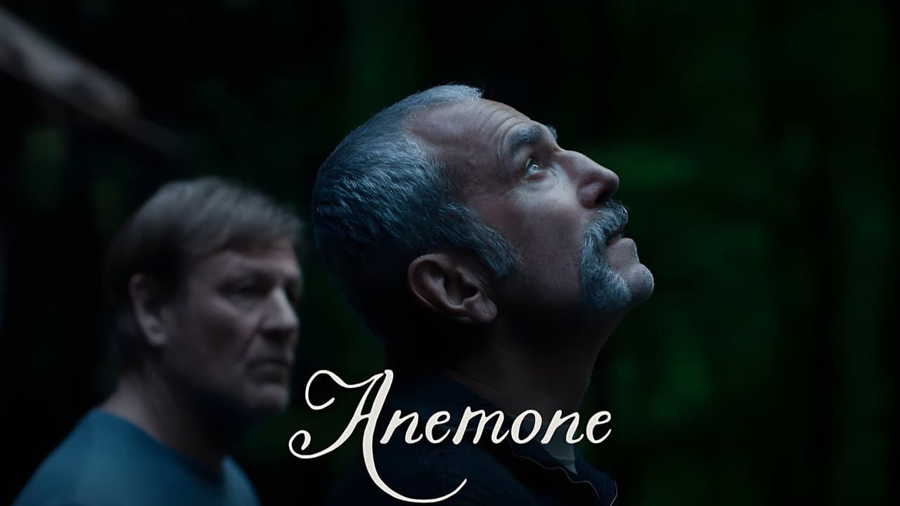 Anemone still 1