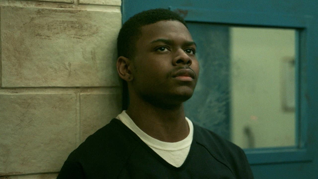 Bosco still 4