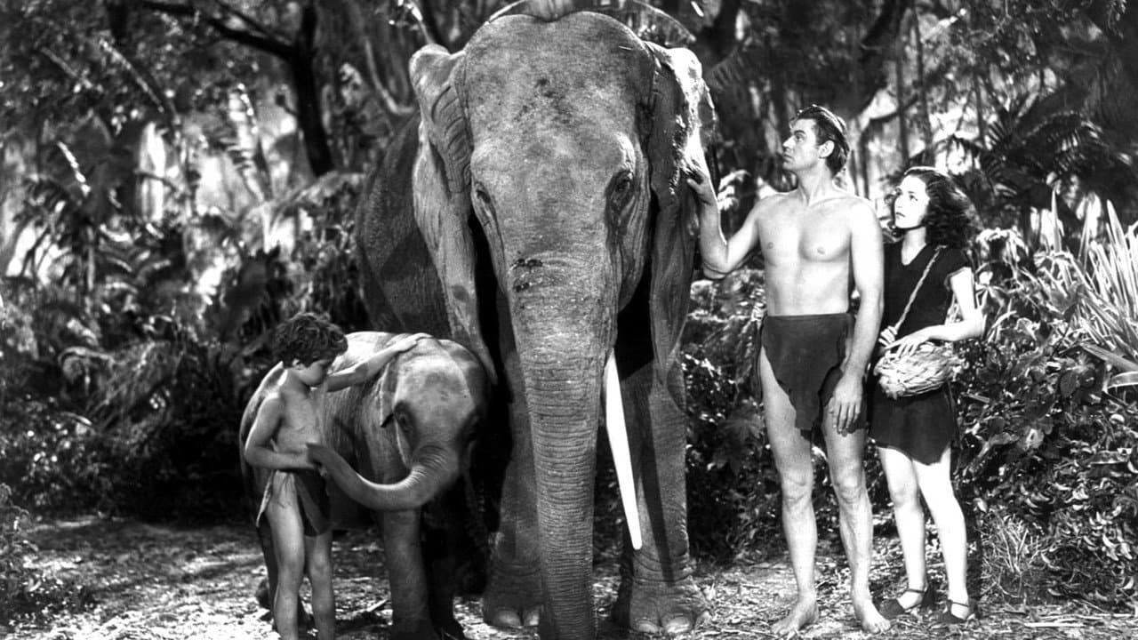 Tarzan Finds a Son! still 3