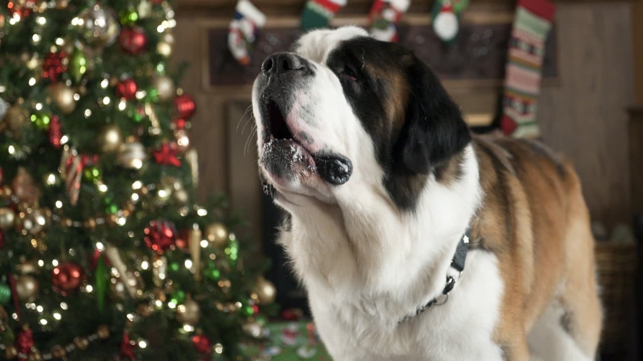 Beethoven's Christmas Adventure still 2