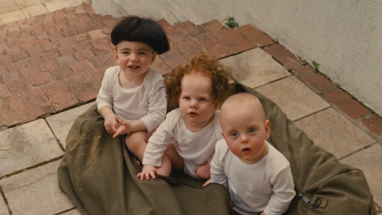 The Three Stooges still 5