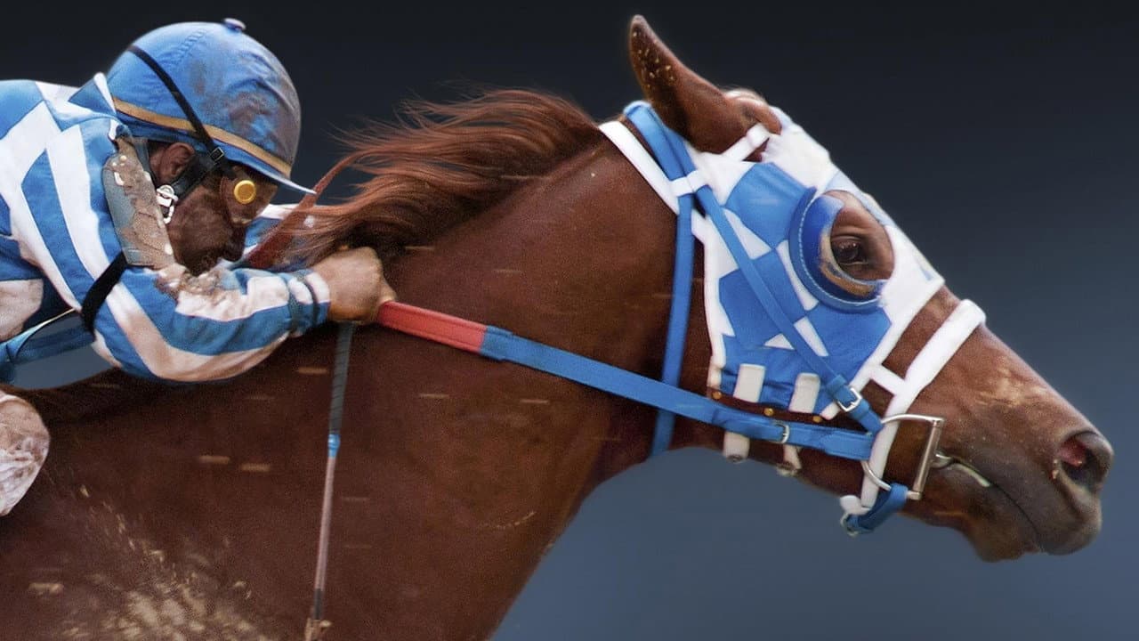 Secretariat still 5