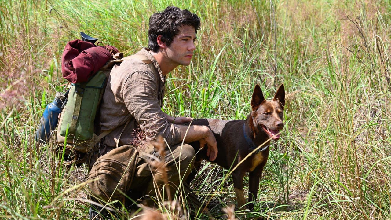 Love and Monsters still 6