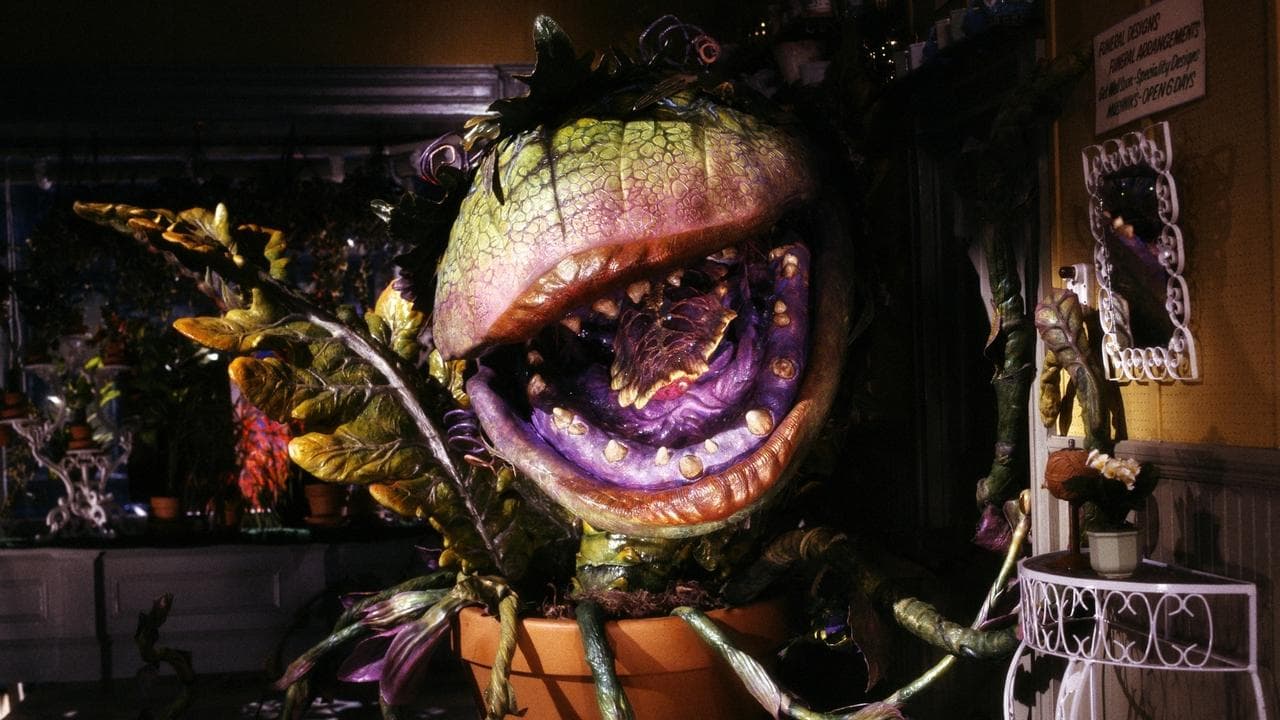 Little Shop of Horrors still 7