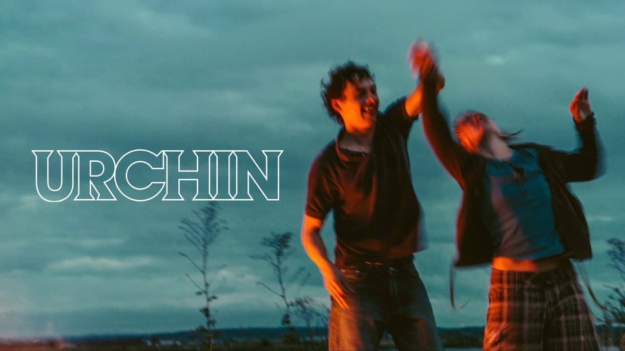 Urchin still 2