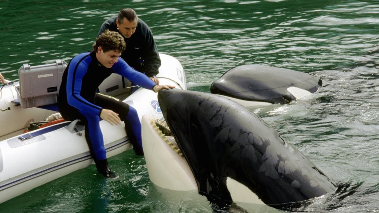 Free Willy 3: The Rescue still 4