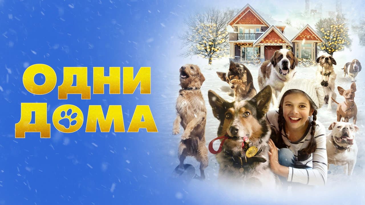 Pups Alone still 7