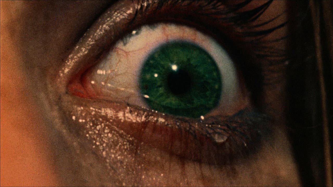 The Texas Chain Saw Massacre still 7