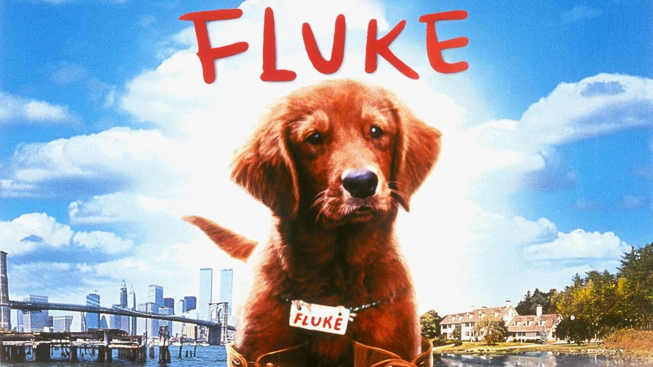 Fluke still 5