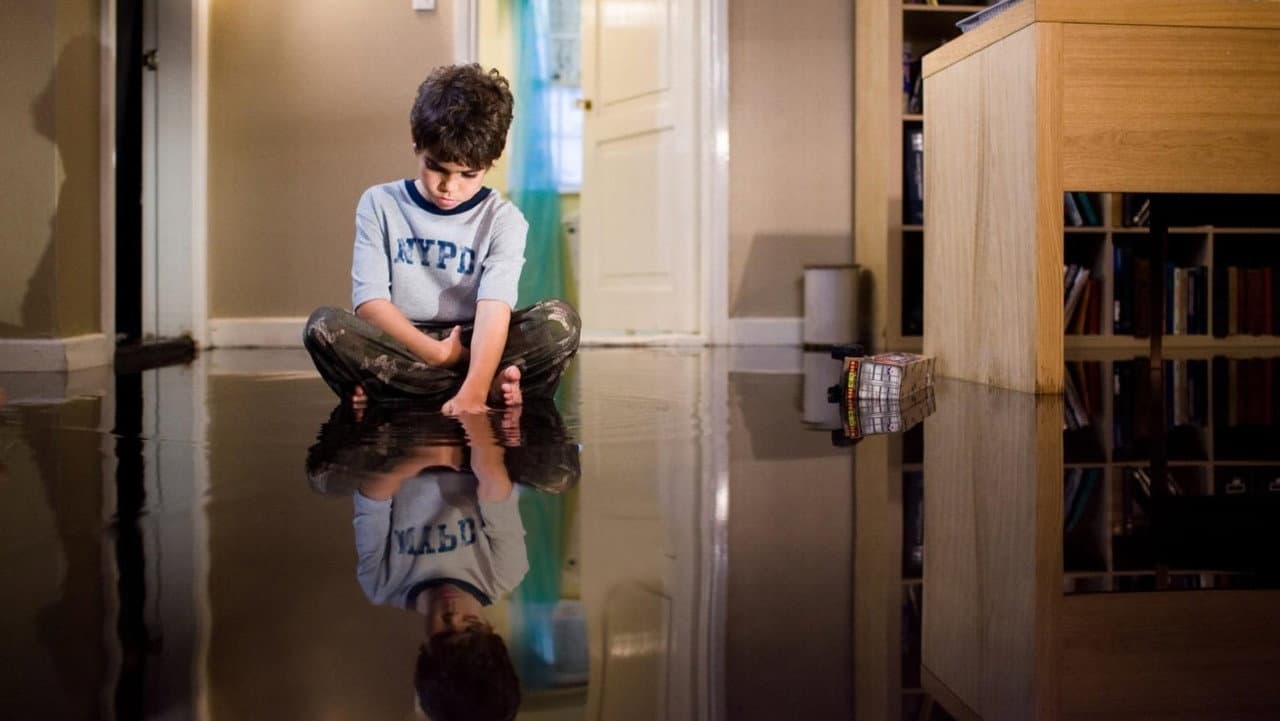 Mirrors still 8